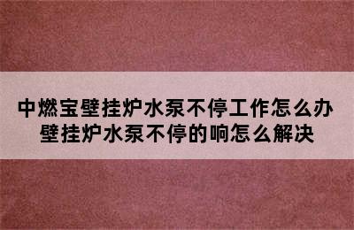 中燃宝壁挂炉水泵不停工作怎么办 壁挂炉水泵不停的响怎么解决